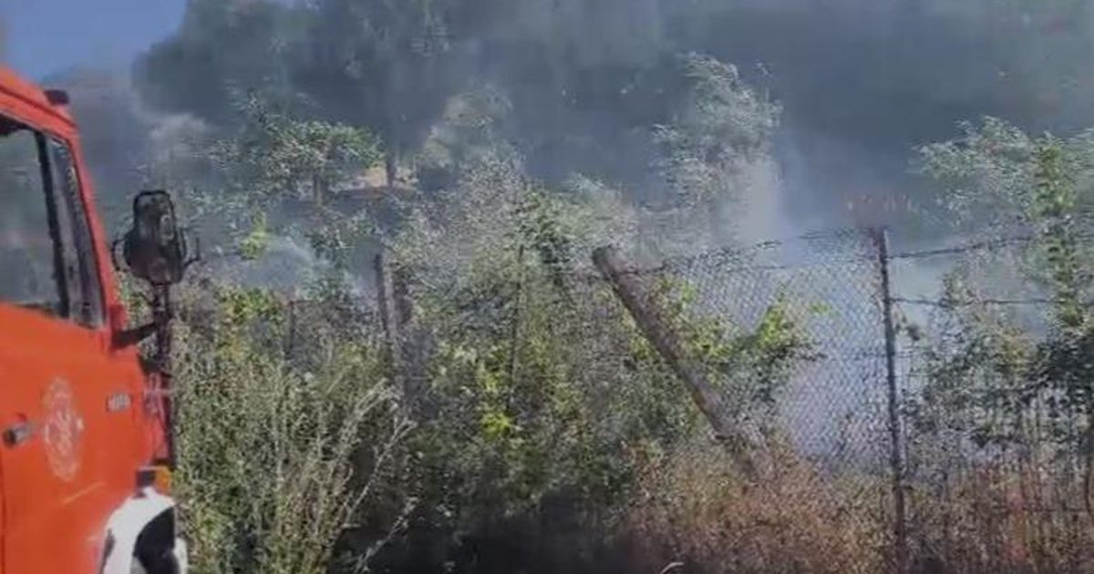 Zjarr në Lazarat  Rrezikohen disa banesa  era favorizon përhapjen e flakëve