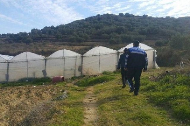Policia aksion në Fushë-Krujë, kontrolle në sera, tunele dhe