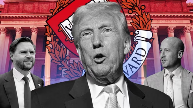 Të goditur ashpër nga Trump, 300 akademikë amerikanë