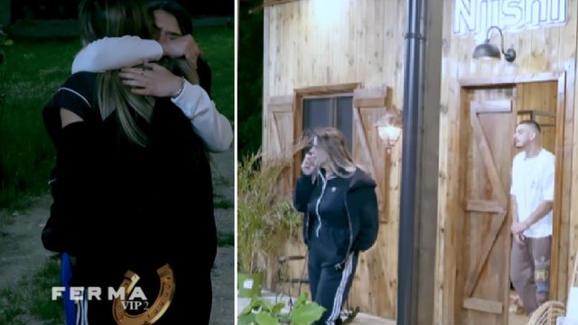 VIDEO/ E papritur në fermë, Alba gjen "ngushëllim"