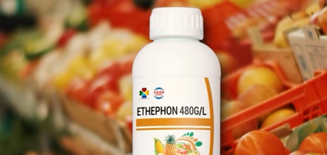 Etefoni, hormoni kancerogjen që shitet në Shqipëri me