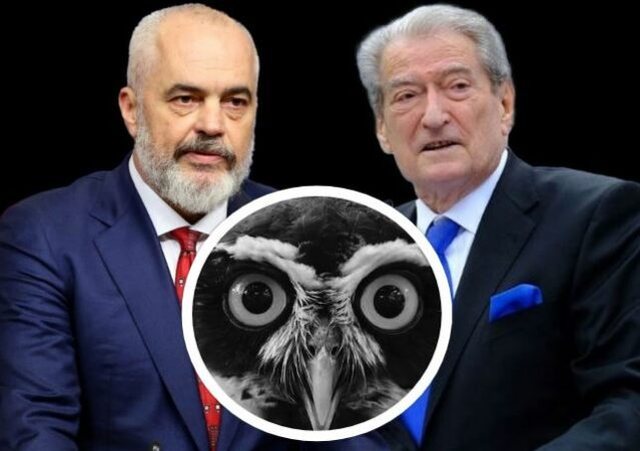 VIDEO/ "Kuak, kuak, kuak", Rama ironizon sërish Berishën