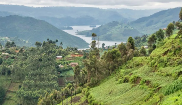 Uganda shpall fundin e Ebolës