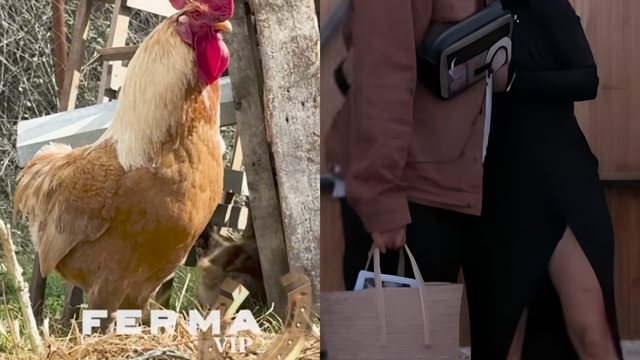 Surprizë! Konfirmohen dy konkurrentët e parë të "Ferma