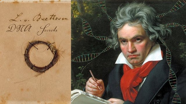 ADN-ja e flokëve të mjeshtrit të muzikës, Ludwig van