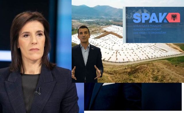 "U dënuan sikur vodhën një pulë!"/ Lala për