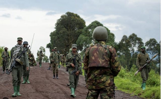 KONGO NË LUFTË! Rebelët e M23, të mbështetur nga