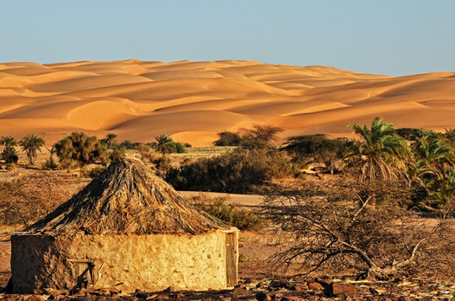 Mauritania, thesari i fshehur i Saharasë: qytete antike, oaze dhe një