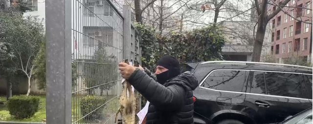 VIDEO/ I maskuar me kapuç dhe me dy kafshë në duar, protesta